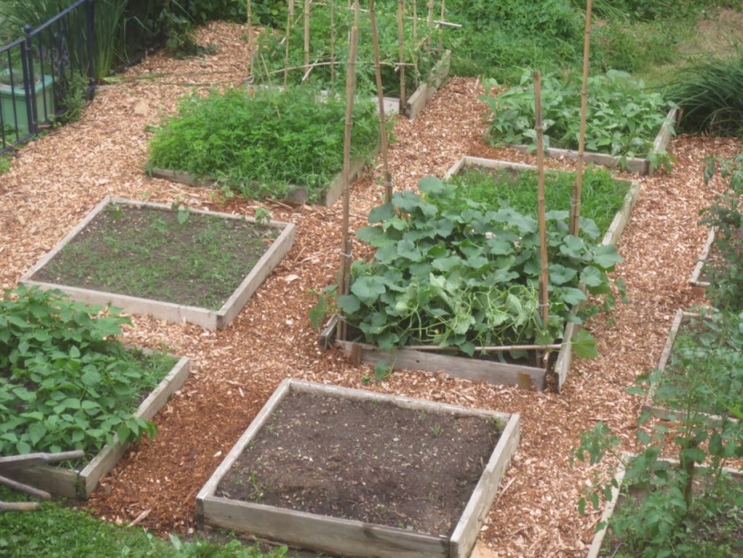 Chips are an easy and economical way to neaten up the garden and discourage weed growth.